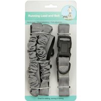 Running Lead and Belt